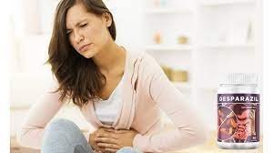 Introduction to desparazil