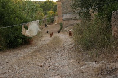 Chicken road españa in Spain