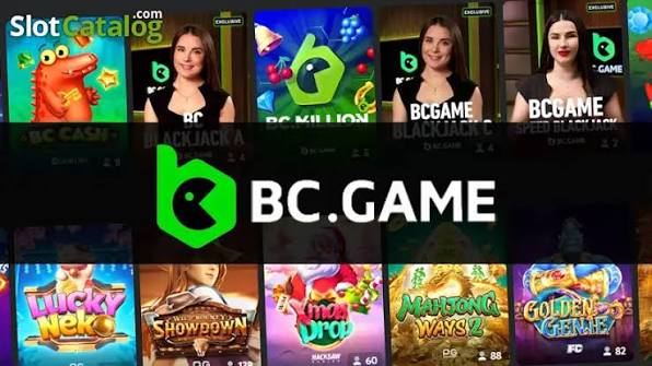Everything You Need to Know About BCStavka